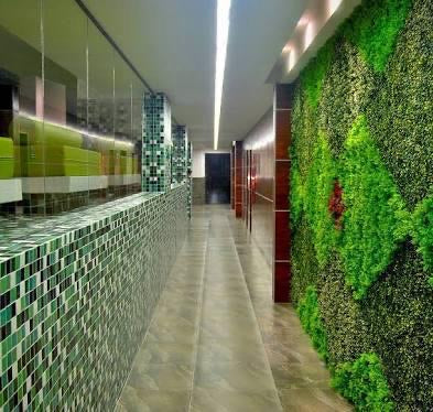 POLANCO - Desarrollo | Departamento